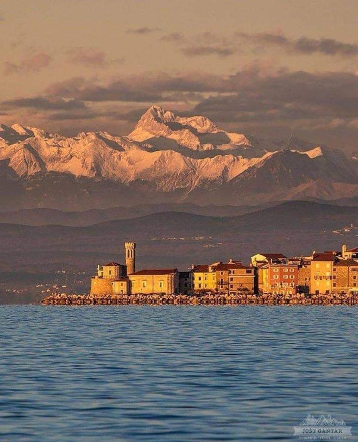 Piran Apartma 1 And 2 Appartments Extérieur photo